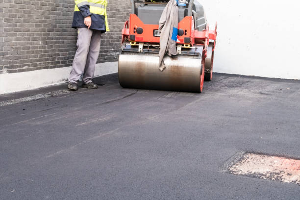 Best Driveway Removal and Replacement  in Zephyrhills North, FL